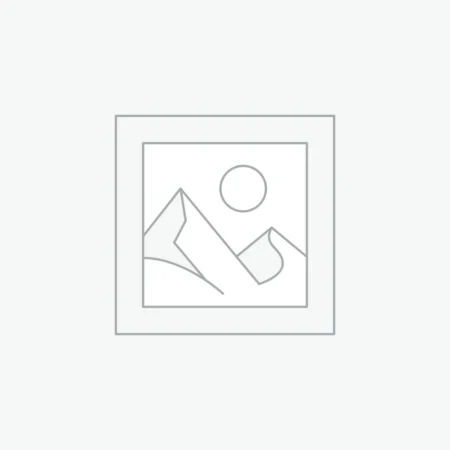 Uncategorized